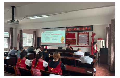 共同缔造策群力,乡村振兴谱新篇|武汉学院“志管先锋”实践队实践活动纪实